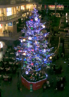 ファクトリーツリー2