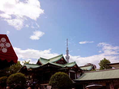 スカイツリーと