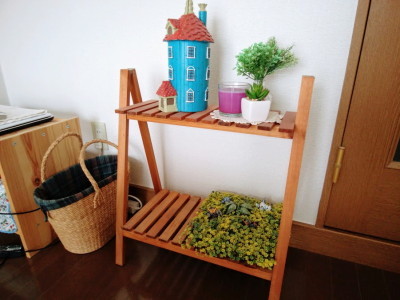 salut!のウッドラック