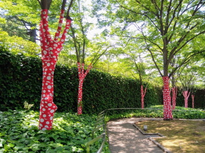 木に登った水玉2017