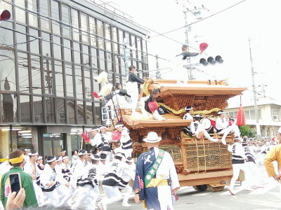 だんじり祭り