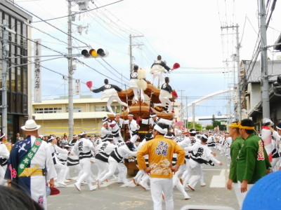 だんじり祭り