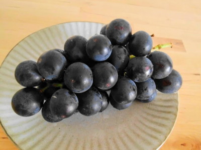 ぶどう