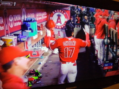 オオタニサーン