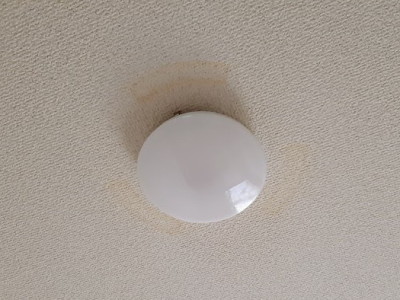 天井に黄ばみが